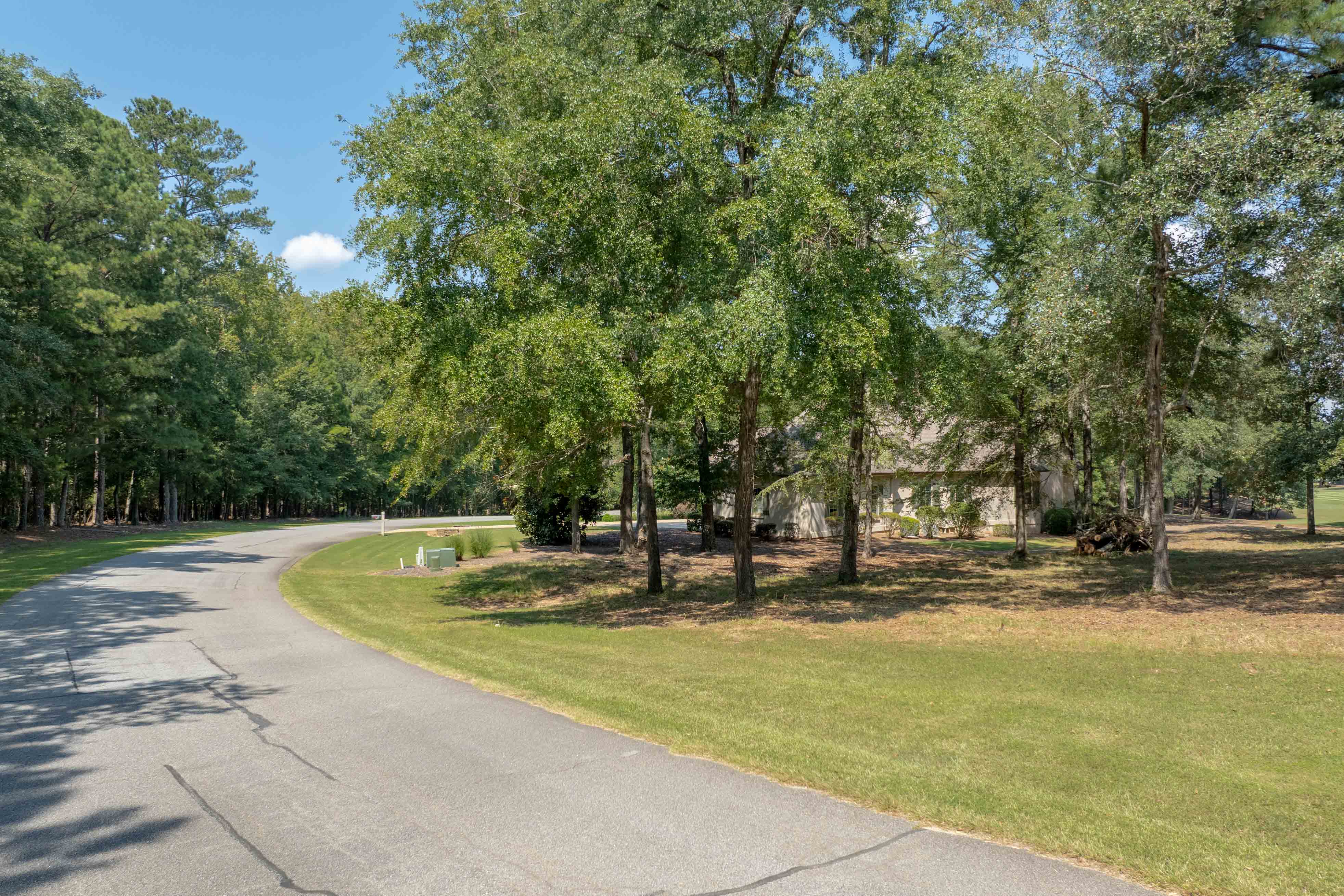 161 Broadlands Drive image 8